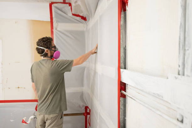 Mold Documentation for Insurance Claims in Lonsdale, MN