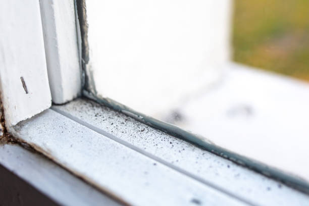 Mold Remediation for Vacation Homes in Lonsdale, MN