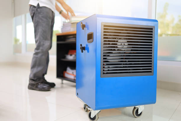 Best Mold Documentation for Insurance Claims  in Lonsdale, MN