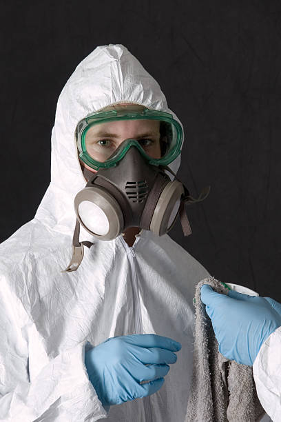 Best Mold Remediation for Rental Properties  in Lonsdale, MN